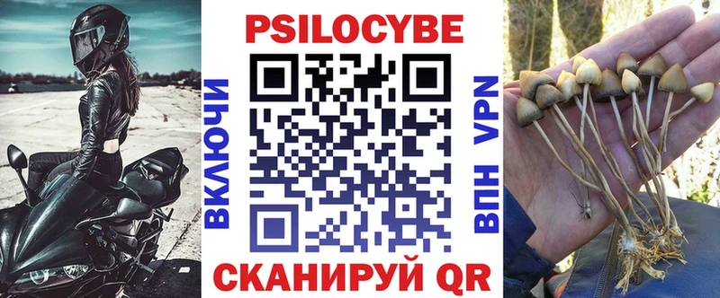 Псилоцибиновые грибы мицелий  купить   Асино 